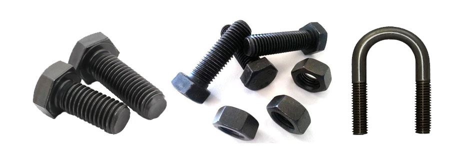Carbon Steel Fasteners Manufacturer in India