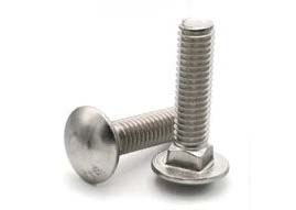 Carriage Fastener Manufacturer in India
