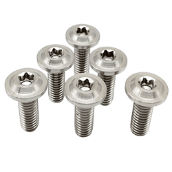 Titanium Screws Manufacturer in India