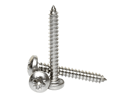 Self Tapping Screws Manufacturer in India