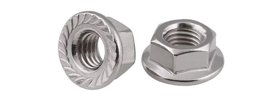 Stainless Steel Flange Nuts Manufacturer in India