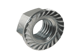Stainless Steel Flange Nuts Suppliers in India