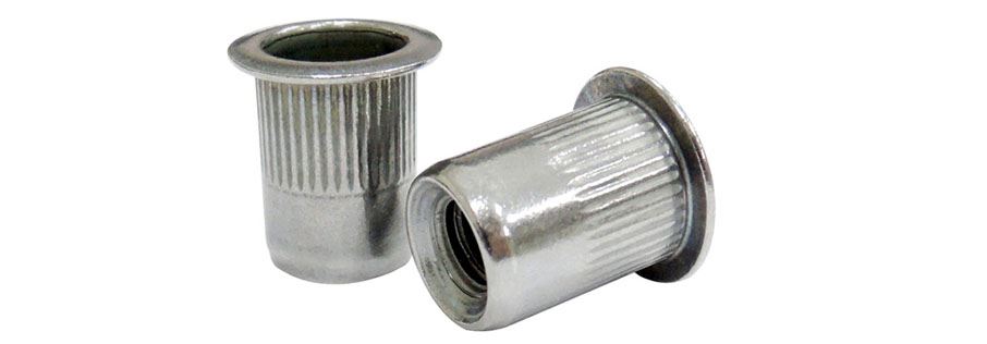 Stainless Steel Rivet Nuts Manufacturer in India